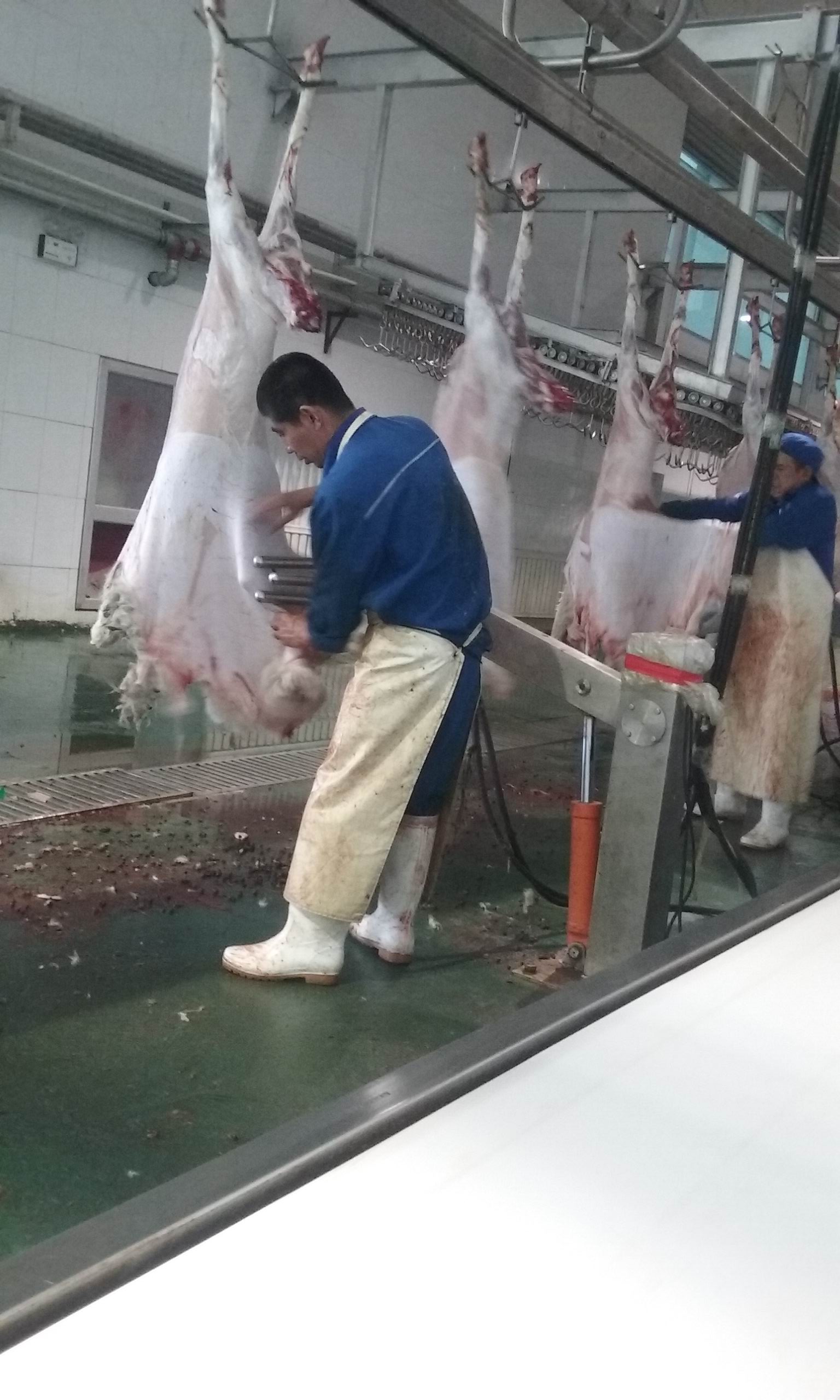 羊肉為什么要排酸？